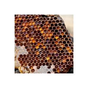 Propolis
